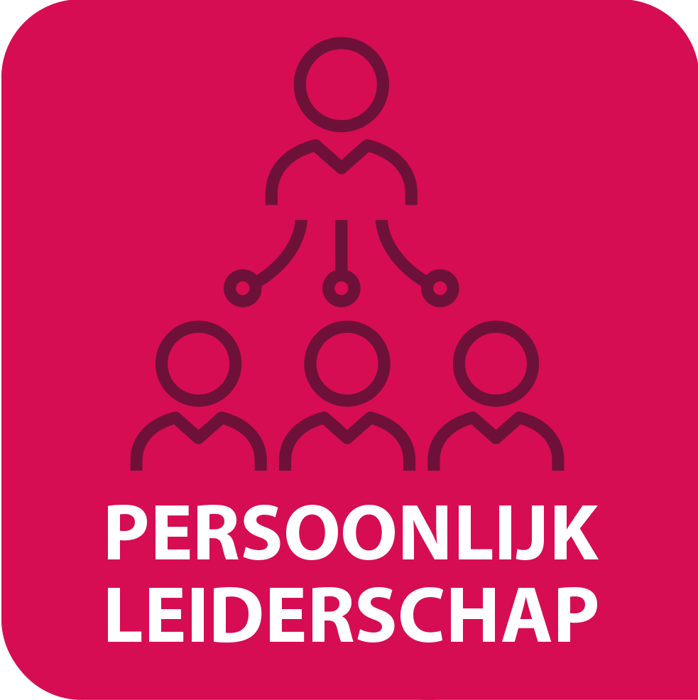 persoonlijk leiderschap